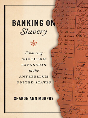 cover image of Banking on Slavery